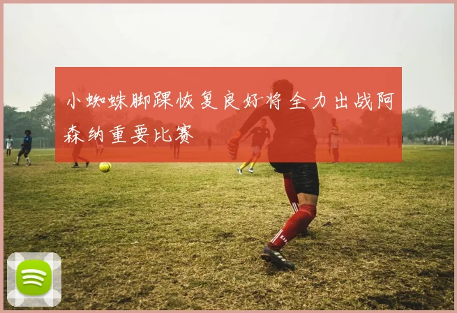 小蜘蛛脚踝恢复良好将全力出战阿森纳重要比赛